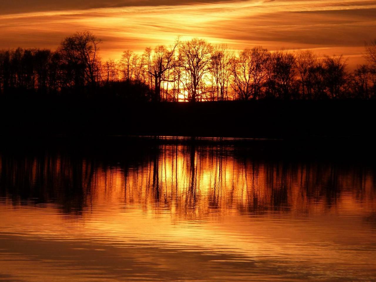 Ferienwohnung Am Duemmer See Dummer ภายนอก รูปภาพ