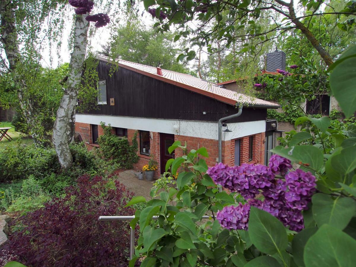 Ferienwohnung Am Duemmer See Dummer ภายนอก รูปภาพ
