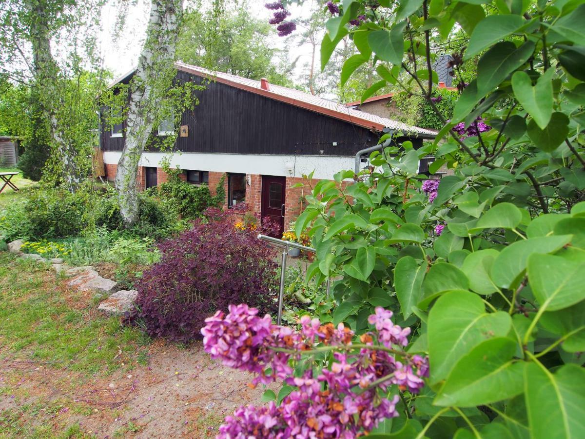 Ferienwohnung Am Duemmer See Dummer ภายนอก รูปภาพ