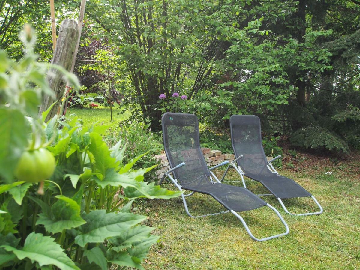 Ferienwohnung Am Duemmer See Dummer ภายนอก รูปภาพ