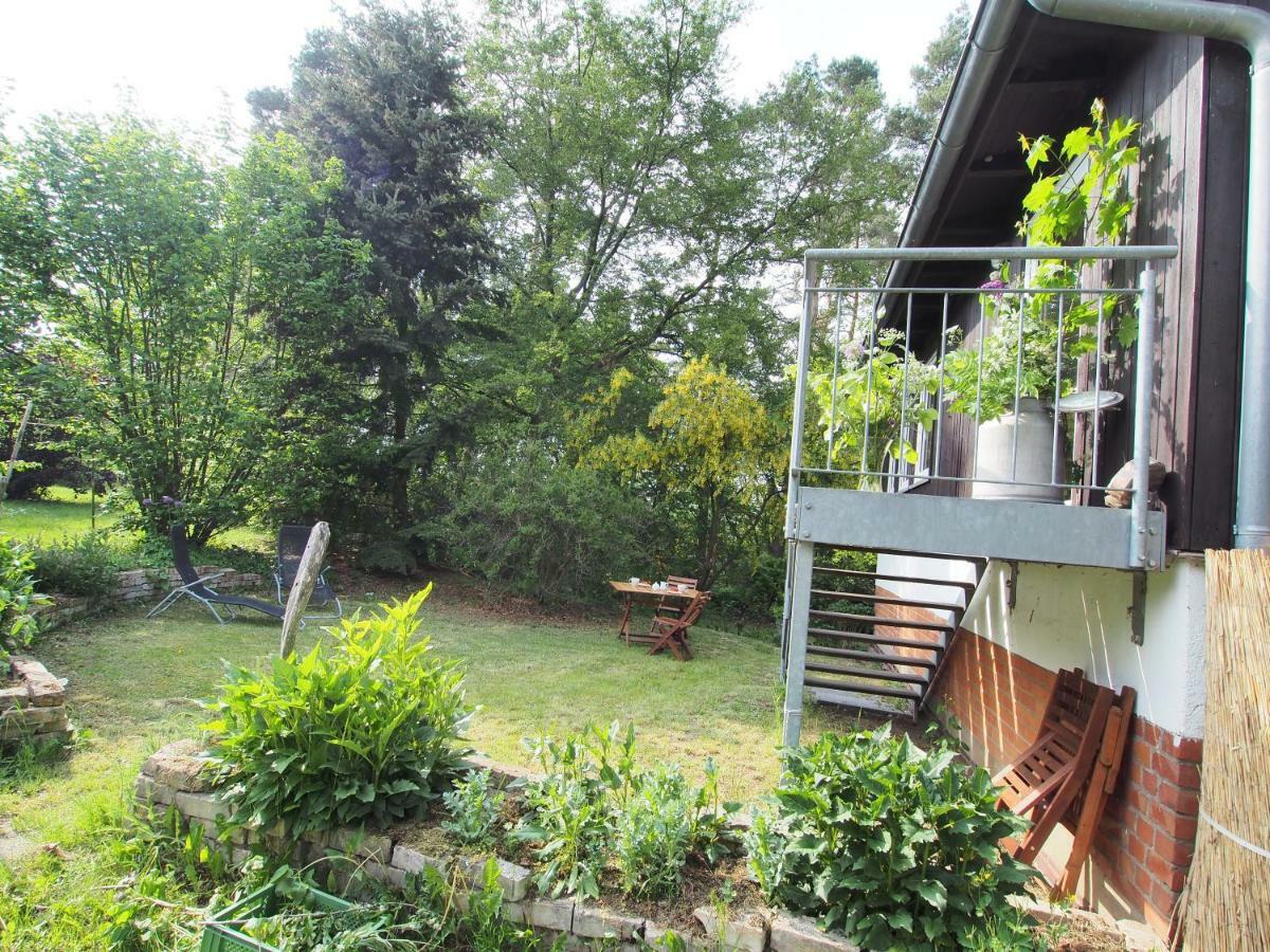 Ferienwohnung Am Duemmer See Dummer ภายนอก รูปภาพ