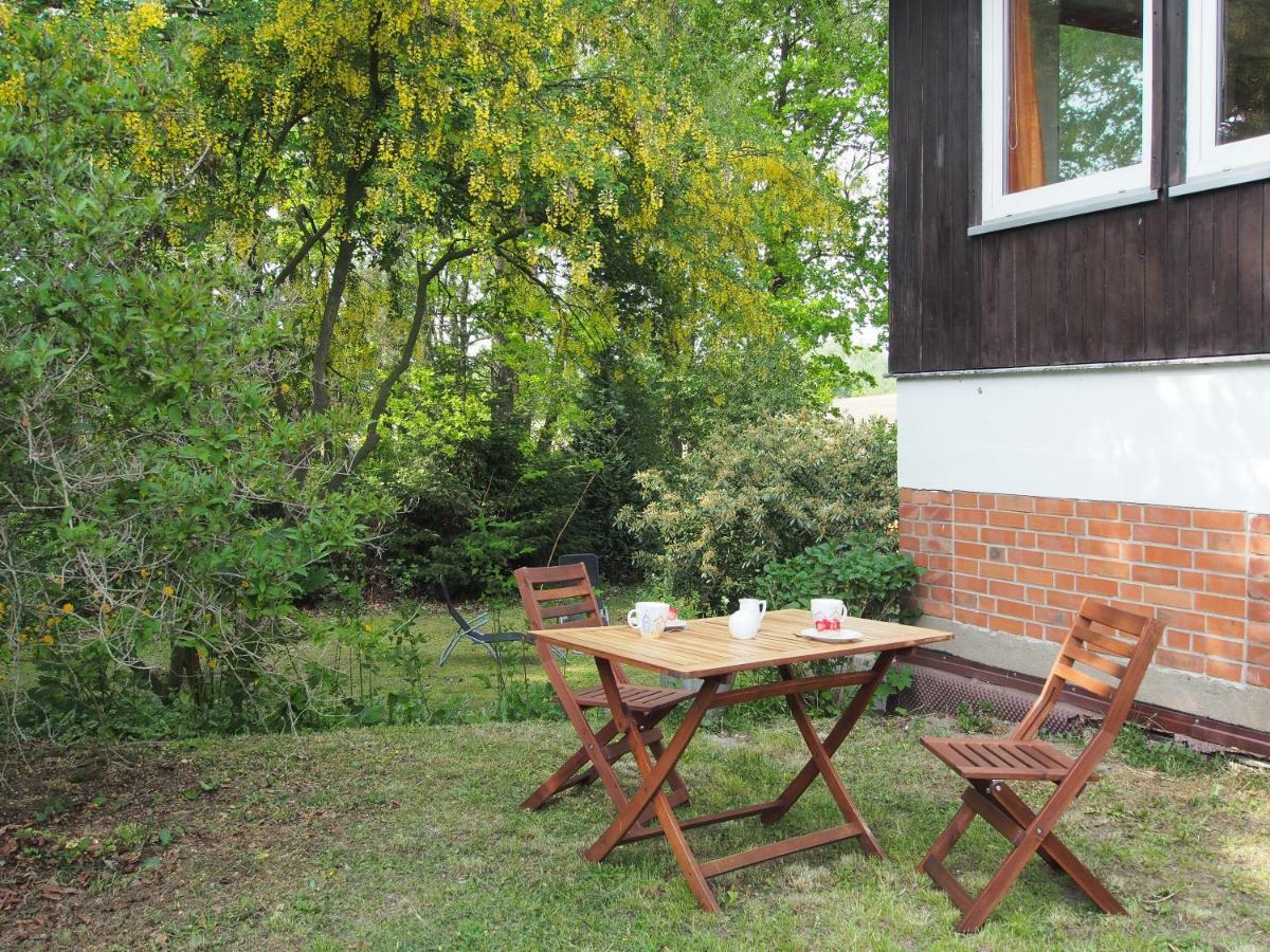 Ferienwohnung Am Duemmer See Dummer ภายนอก รูปภาพ